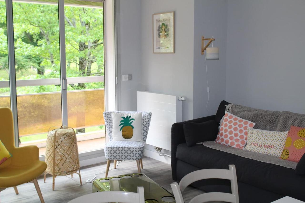 Appartement Camelias 2 Terrasses Et Parking Centre *